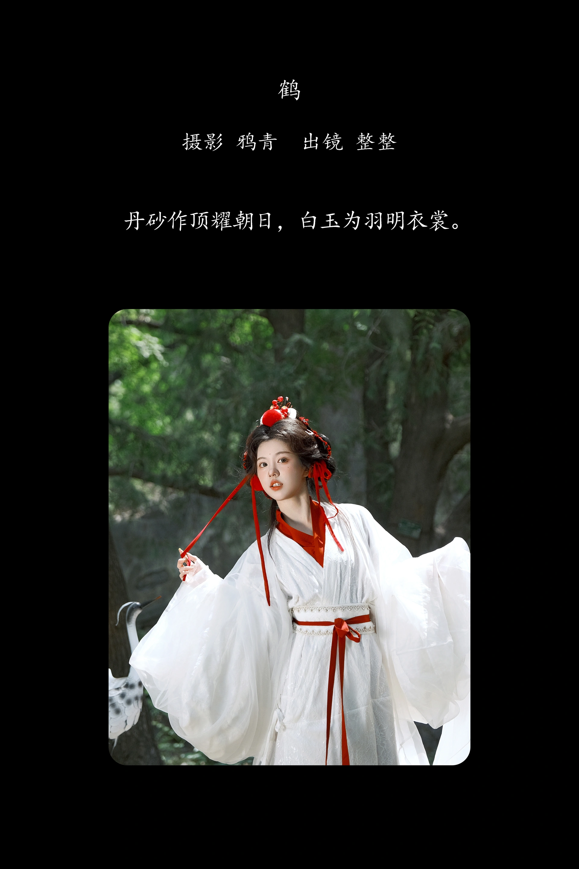 [YITUYU艺图语]2025.02.05 鹤 整整 1